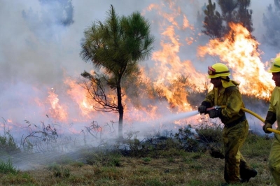 Día Internacional do Combatente dos Incendios Forestais